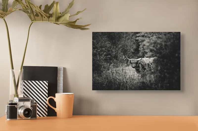 Tablou Canvas, "Bivol într-o pădure misterioasă", Cow, Forest, Bushes, Monochrome, Nature, Wilderness, Horns, Grazing, Dense, Foliage, 39 x 26 cm – poza 3