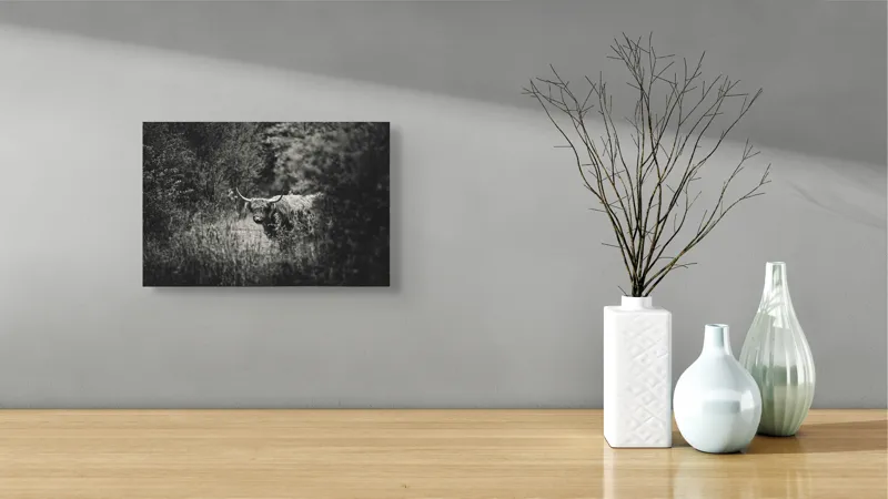 Tablou Canvas, "Bivol într-o pădure misterioasă", Cow, Forest, Bushes, Monochrome, Nature, Wilderness, Horns, Grazing, Dense, Foliage, 39 x 26 cm – poza 8