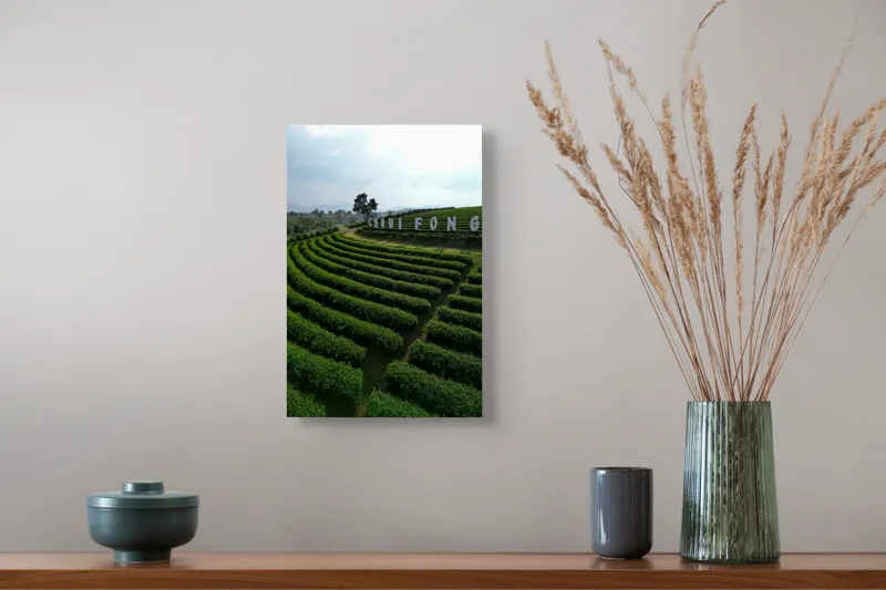 Tablou Canvas, "Câmpuri ondulate de ceai verde", Dealuri, Plantatii, Verde, Peisaj, Cultură, Cer, Întins, Orizont, Linie, Natural, 26 x 39 cm – poza 5