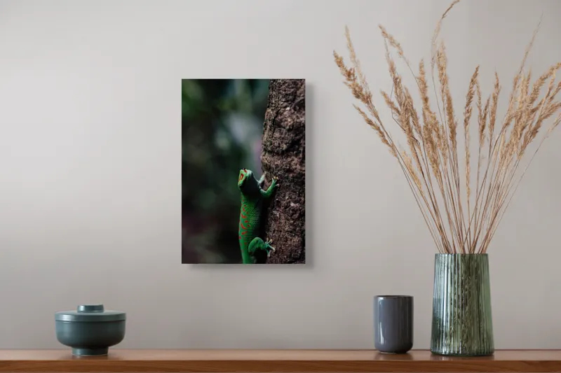 Tablou Canvas, "Gecko verde pe trunchi de copac", Verde, Soparla, Scoarta, Texturi, Detalii, Natura, Camuflaj, 26 x 39 cm – poza 5