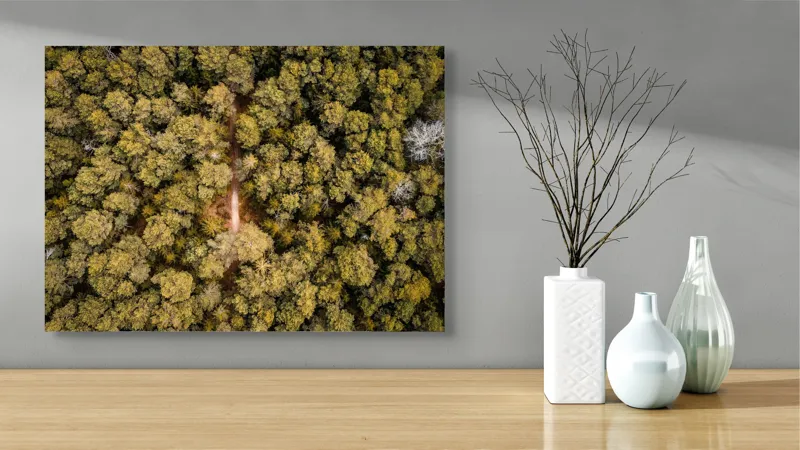 Tablou Canvas, "Potecă ascunsă prin pădurea deasă", Pădure, Potecă, Copaci, Toamnă, Aeriană, Frunze, Natură, Verde, Galben, Drum, 70 x 50 cm – poza 3