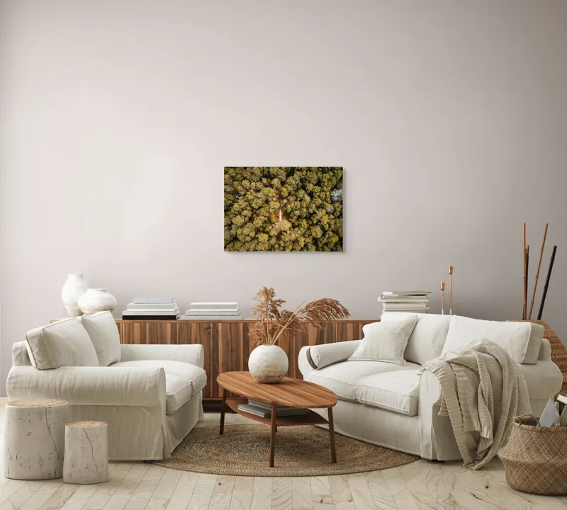 Tablou Canvas, "Potecă ascunsă prin pădurea deasă", Pădure, Potecă, Copaci, Toamnă, Aeriană, Frunze, Natură, Verde, Galben, Drum, 70 x 50 cm – poza 6