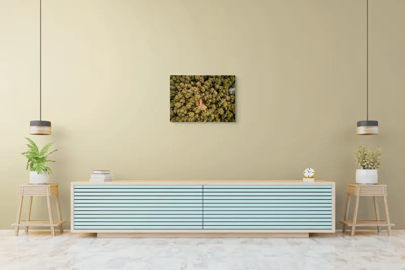 Tablou Canvas, "Potecă ascunsă prin pădurea deasă", Pădure, Potecă, Copaci, Toamnă, Aeriană, Frunze, Natură, Verde, Galben, Drum, 70 x 50 cm – poza 7