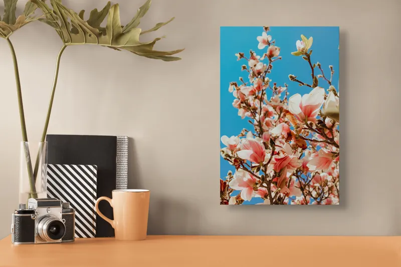 Tablou Canvas, "Magnolii înflorite sub cerul albastru", Magnolie, Albastru, Cer, Flori, Ramuri, Primăvară, Delicatețe, Natură, Petale, Lumina, Înflorire, 26 x 39 cm – poza 3
