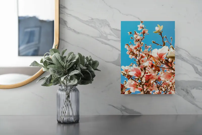 Tablou Canvas, "Magnolii înflorite sub cerul albastru", Magnolie, Albastru, Cer, Flori, Ramuri, Primăvară, Delicatețe, Natură, Petale, Lumina, Înflorire, 26 x 39 cm – poza 4