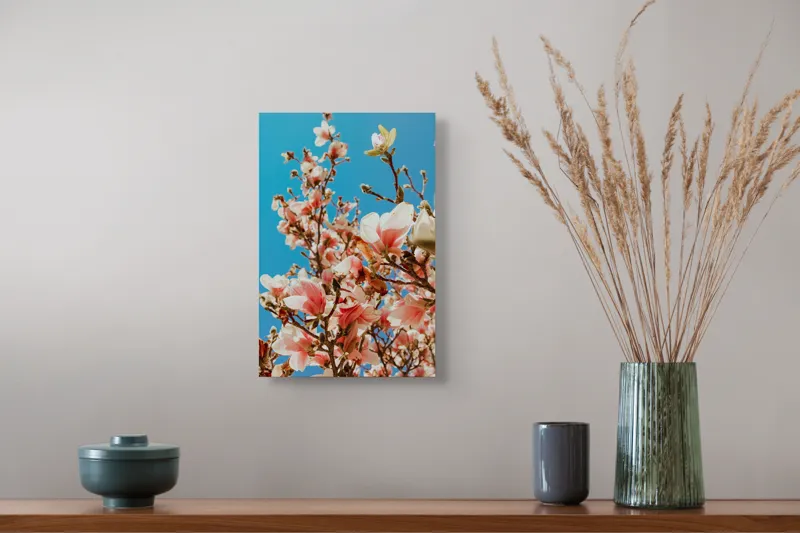 Tablou Canvas, "Magnolii înflorite sub cerul albastru", Magnolie, Albastru, Cer, Flori, Ramuri, Primăvară, Delicatețe, Natură, Petale, Lumina, Înflorire, 26 x 39 cm – poza 5