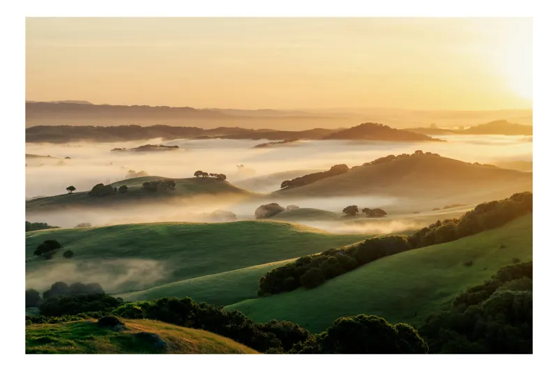 Tablou Canvas, "Dimineață de ceață peste dealuri verzi", Aurora, Câmpuri, Ceață, Dealuri, Lumină, Verdeață, Răsărit, Peisaj, Serenitate, Natură, 90 x 50 cm