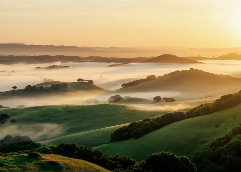 Tablou Canvas, "Dimineață de ceață peste dealuri verzi", Aurora, Câmpuri, Ceață, Dealuri, Lumină, Verdeață, Răsărit, Peisaj, Serenitate, Natură, 70 x 50 cm – poza 2