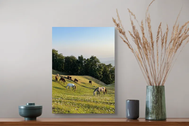 Tablou Canvas, "Cai păscând pe deal la apus", Cai, Pajiște, Flori, Copaci, Cer, Apus, Verdeață, Natură, Armonie, Peisaj, 39 x 54 cm – poza 3