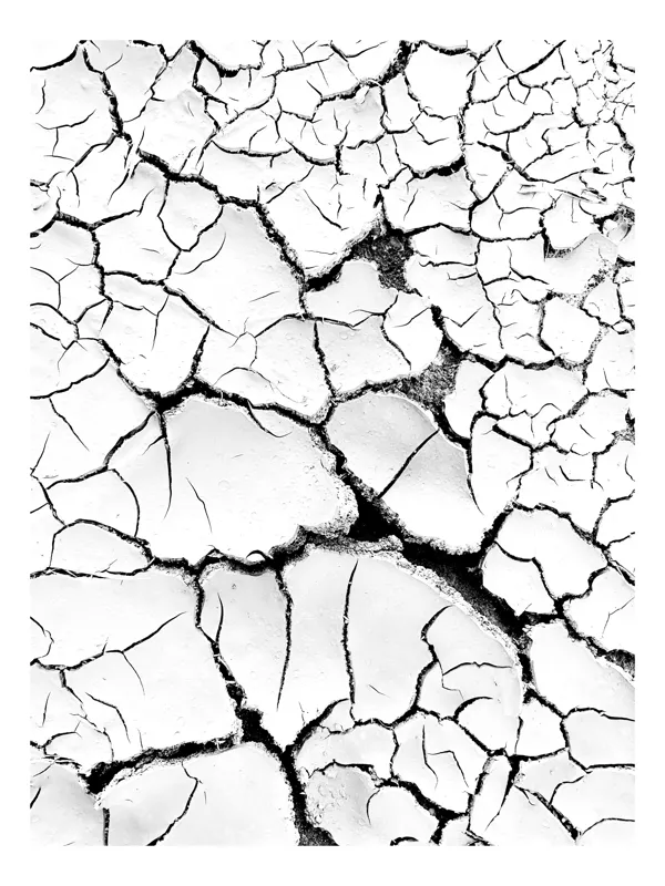 Tablou Canvas, "Tărâm de pământ crăpat alb", Crăpături, Uscăciune, Deshidratare, Pământ, Contrast, Textură, Natură, Șocant, Alb-Negru, Linii, Fracturi, Pământ, Impactant, Ariditate, Suprafețe, 50 x 50 cm