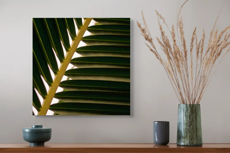 Tablou Canvas, "Geometria frunzelor de palmier", Frunze, Verde, Natură, Textură, Lumină, Umbră, Armonie, Simetrie, 50 x 50 cm – poza 4