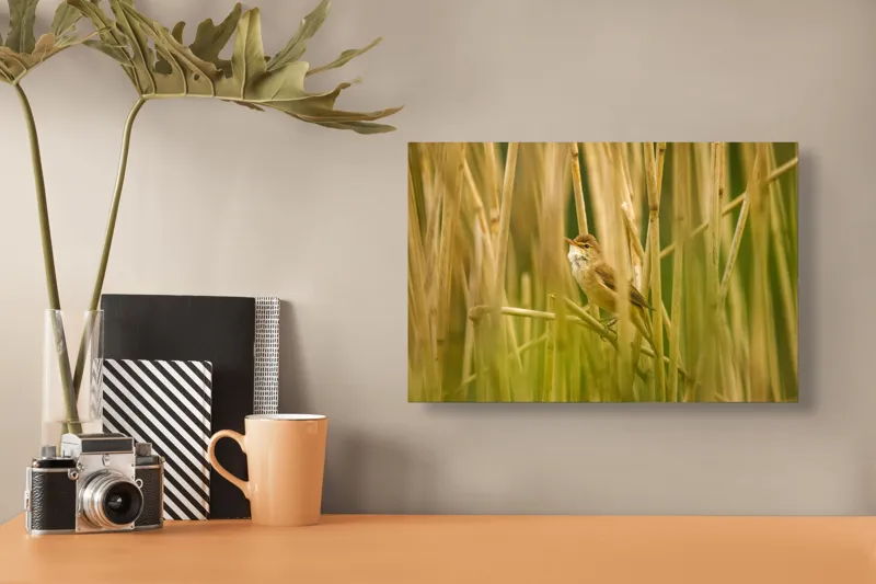 Tablou Canvas, "Păsărea ascunsă în stufărișul deasă", Delicat, Solitar, Verdeață, Serenitate, Penaj, 39 x 26 cm – poza 3