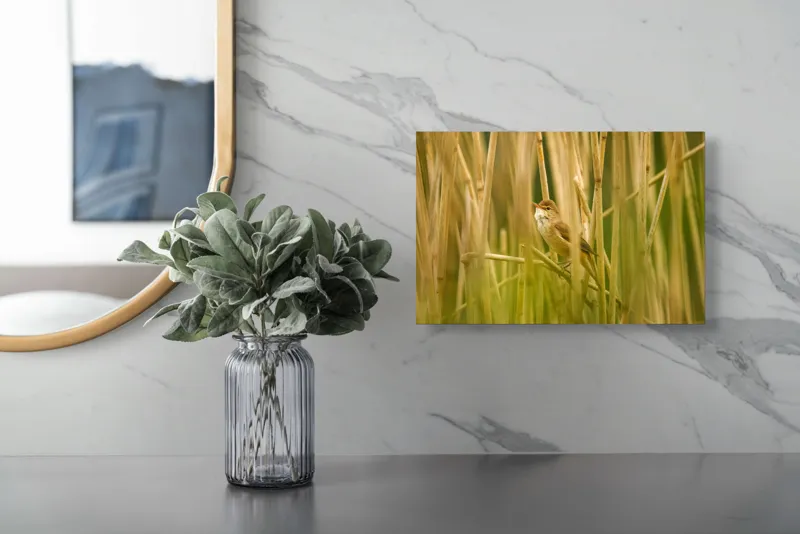 Tablou Canvas, "Păsărea ascunsă în stufărișul deasă", Delicat, Solitar, Verdeață, Serenitate, Penaj, 39 x 26 cm – poza 5