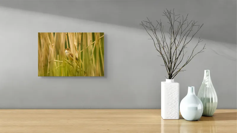 Tablou Canvas, "Păsărea ascunsă în stufărișul deasă", Delicat, Solitar, Verdeață, Serenitate, Penaj, 39 x 26 cm – poza 8