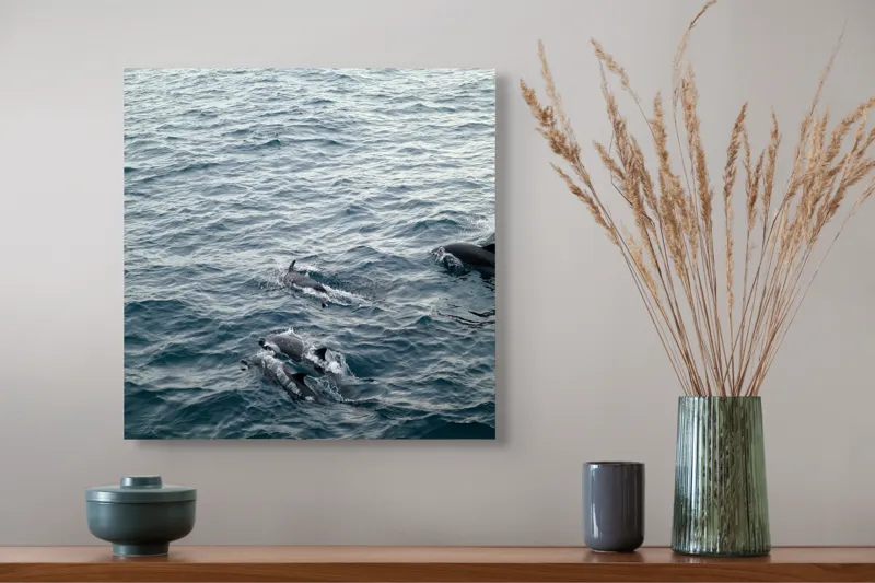 Tablou Canvas, "Delfinii dansează pe valurile oceanului", Delfini, Ocean, Alergați, Libertate, Apă, Valuri, Sălbăticie, Grup, Natație, 50 x 50 cm – poza 4