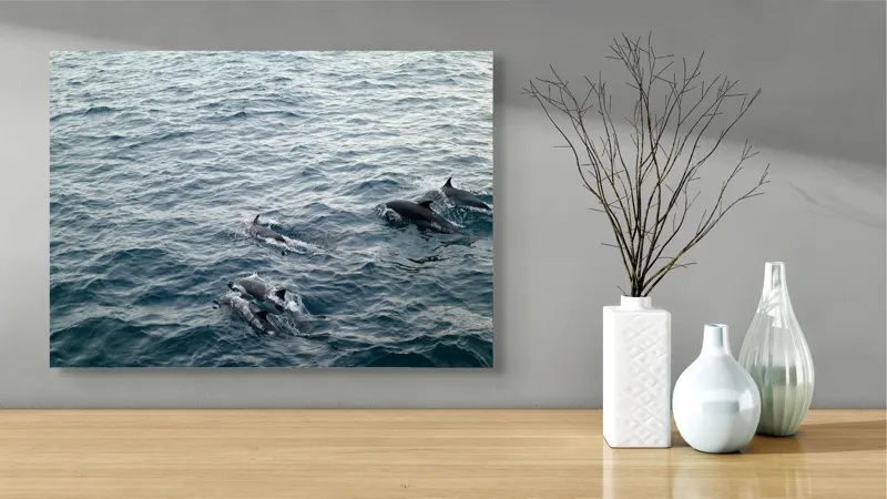 Tablou Canvas, "Delfinii dansează pe valurile oceanului", Delfini, Ocean, Alergați, Libertate, Apă, Valuri, Sălbăticie, Grup, Natație, 70 x 50 cm – poza 3