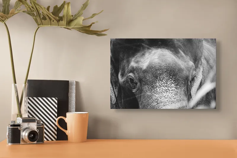 Tablou Canvas, "Privirea unui elefant contemplativ", Elefant, Ochi, Textură, Piele, Alb-Negru, Privire, Detalii, Captivant, Profund, Impresionant, 39 x 26 cm – poza 3