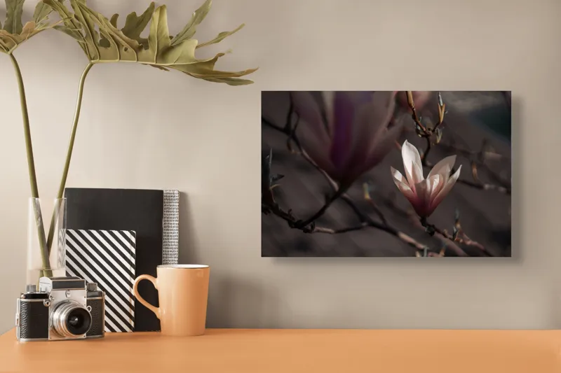 Tablou Canvas, "Misterul florilor de magnolie în amurg", Flori, Lumină, Rădăcini, Delicatețe, Primăvară, Natură, Blândețe, 39 x 26 cm – poza 3