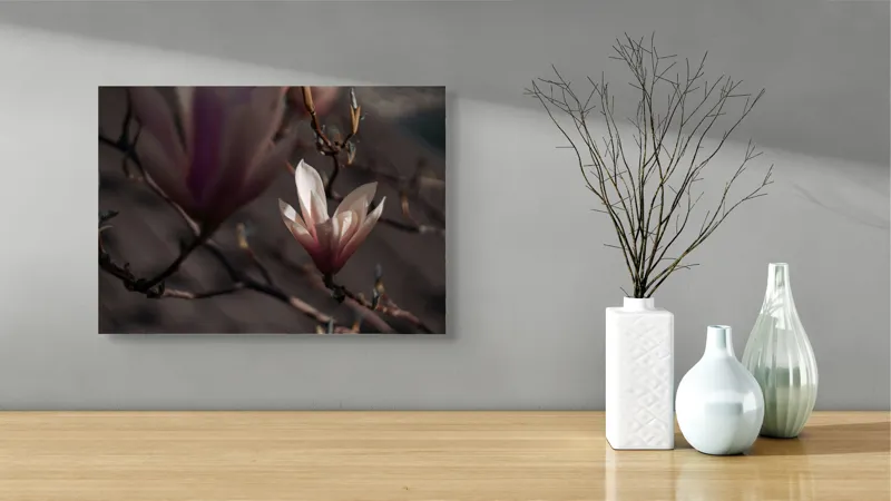 Tablou Canvas, "Misterul florilor de magnolie în amurg", Flori, Lumină, Rădăcini, Delicatețe, Primăvară, Natură, Blândețe, 54 x 39 cm – poza 3