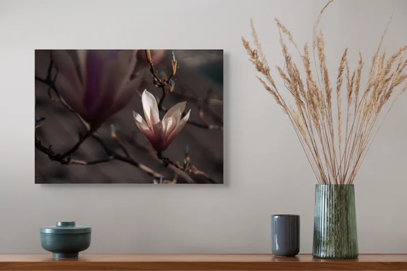 Tablou Canvas, "Misterul florilor de magnolie în amurg", Flori, Lumină, Rădăcini, Delicatețe, Primăvară, Natură, Blândețe, 54 x 39 cm – poza 4