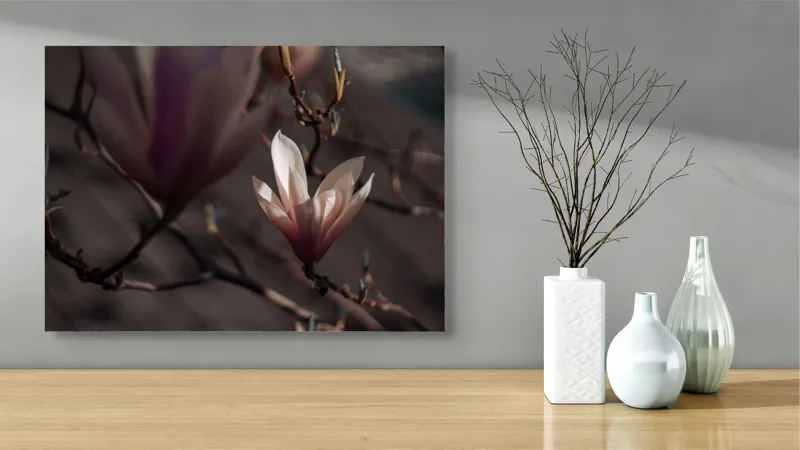 Tablou Canvas, "Misterul florilor de magnolie în amurg", Flori, Lumină, Rădăcini, Delicatețe, Primăvară, Natură, Blândețe, 70 x 50 cm – poza 3