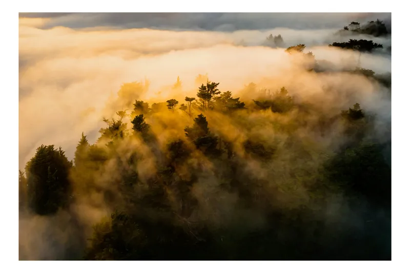 Tablou Canvas, "Visul pădurii învăluite de ceață", Mister, Lumină, Ceață, Pădure, Vârfuri, Umbre, Natură, Peisaj, Aur, Cer, Vedere, Aeriană, Calm, Frumusețe, Serenitate, 150 x 100 cm