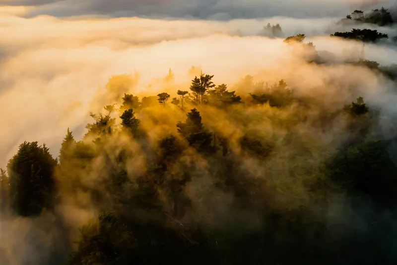 Tablou Canvas, "Visul pădurii învăluite de ceață", Mister, Lumină, Ceață, Pădure, Vârfuri, Umbre, Natură, Peisaj, Aur, Cer, Vedere, Aeriană, Calm, Frumusețe, Serenitate, 39 x 26 cm – poza 2