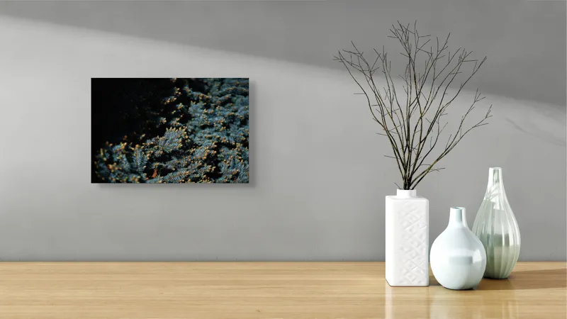 Tablou Canvas, "Răsărit printre crengile de brad", Verde, Frunze, Muguri, Contraste, Întuneric, Lumină, Textură, Natură, Atmosferă, Mister., 39 x 26 cm – poza 8