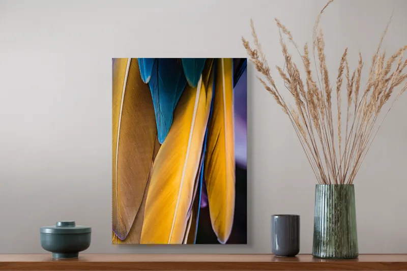 Tablou Canvas, "Armonia culorilor naturale în penaj", Pene, Albastru, Galben, Textură, Suavitate, Colorat, Detaliu, Elegant, Contrast, Frumusețe, 39 x 54 cm – poza 3