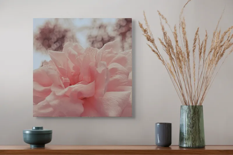 Tablou Canvas, "Bujorul visurilor roz delicate", Floare, Delicatețe, Pastel, Petale, Blândețe, Natură, Seninătate, Frumusețe., 50 x 50 cm – poza 4