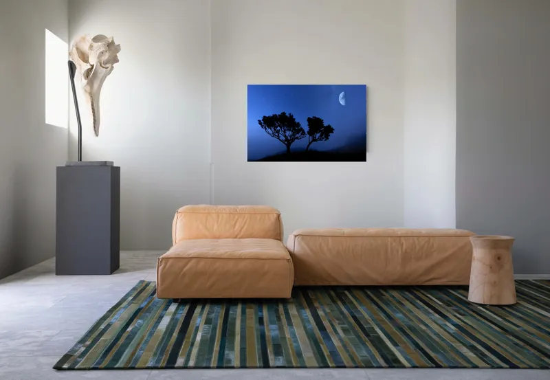 Tablou Canvas, "Copacii visători sub cer înstelat", Cer, Lumină, Siluetă, Stele, Mistic, Lună, Copaci, Noapte, Peisaj, Răsărit., 90 x 50 cm – poza 8