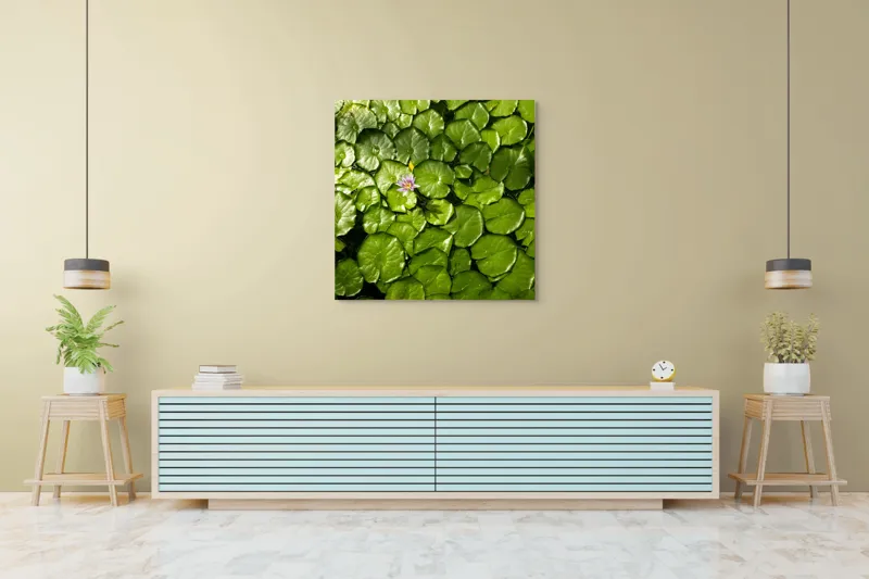 Tablou Canvas, "Unică floare printre frunze verzi", Frunze, Lumină, Apă, Floare, Verde, Reflexii, Natură, Serenitate., 100 x 100 cm – poza 5