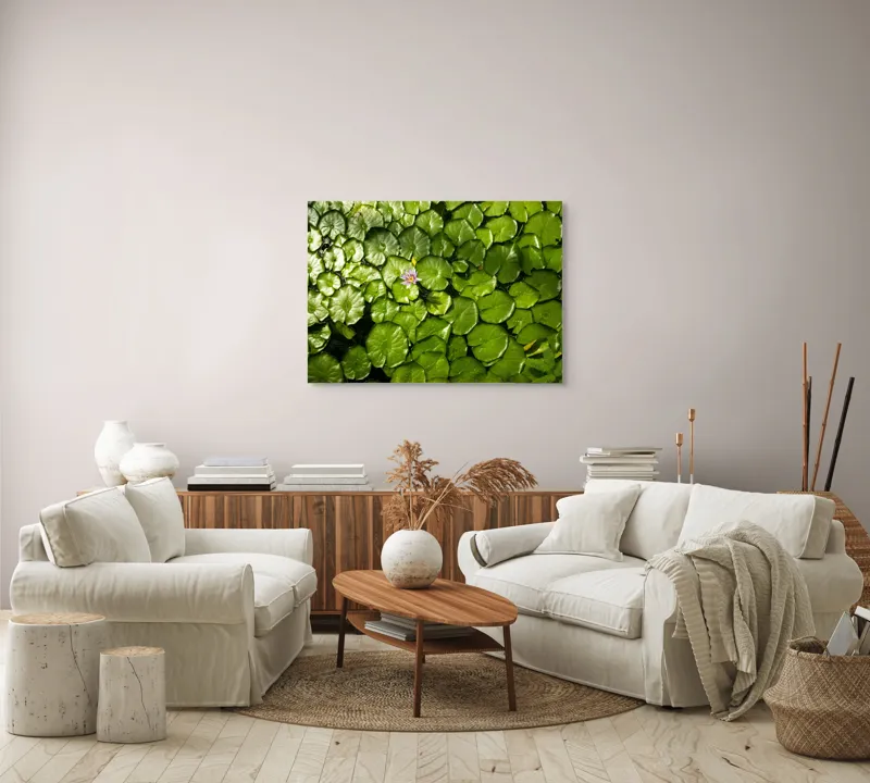 Tablou Canvas, "Unică floare printre frunze verzi", Frunze, Lumină, Apă, Floare, Verde, Reflexii, Natură, Serenitate., 100 x 70 cm – poza 3