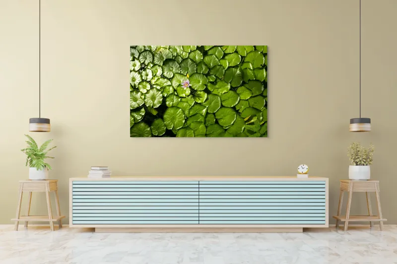 Tablou Canvas, "Unică floare printre frunze verzi", Frunze, Lumină, Apă, Floare, Verde, Reflexii, Natură, Serenitate., 150 x 100 cm – poza 6