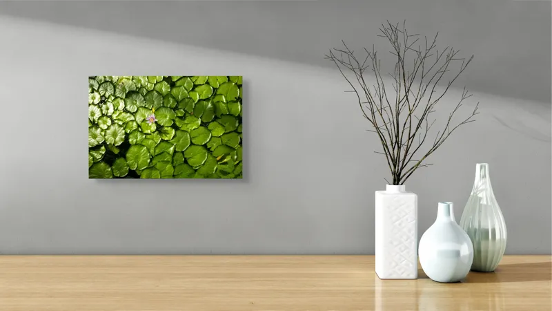 Tablou Canvas, "Unică floare printre frunze verzi", Frunze, Lumină, Apă, Floare, Verde, Reflexii, Natură, Serenitate., 39 x 26 cm – poza 8