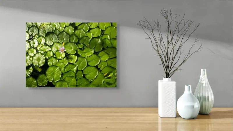 Tablou Canvas, "Unică floare printre frunze verzi", Frunze, Lumină, Apă, Floare, Verde, Reflexii, Natură, Serenitate., 54 x 39 cm – poza 3