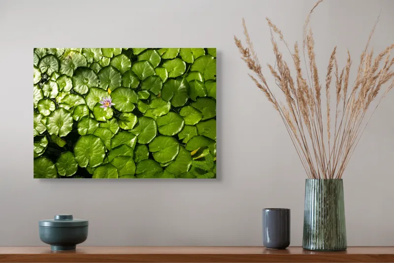 Tablou Canvas, "Unică floare printre frunze verzi", Frunze, Lumină, Apă, Floare, Verde, Reflexii, Natură, Serenitate., 54 x 39 cm – poza 4