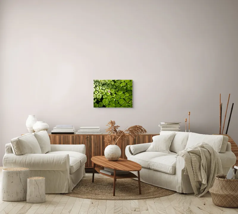Tablou Canvas, "Unică floare printre frunze verzi", Frunze, Lumină, Apă, Floare, Verde, Reflexii, Natură, Serenitate., 54 x 39 cm – poza 5