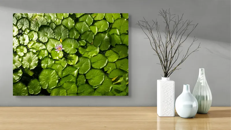 Tablou Canvas, "Unică floare printre frunze verzi", Frunze, Lumină, Apă, Floare, Verde, Reflexii, Natură, Serenitate., 70 x 50 cm – poza 3