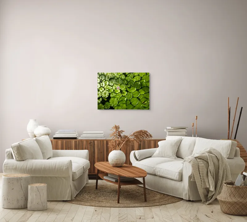 Tablou Canvas, "Unică floare printre frunze verzi", Frunze, Lumină, Apă, Floare, Verde, Reflexii, Natură, Serenitate., 70 x 50 cm – poza 6