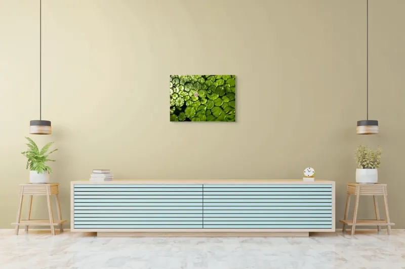 Tablou Canvas, "Unică floare printre frunze verzi", Frunze, Lumină, Apă, Floare, Verde, Reflexii, Natură, Serenitate., 70 x 50 cm – poza 7