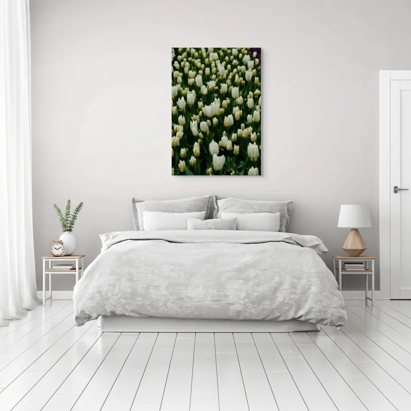 Tablou Canvas, "Câmp de lalele albe înflorite", Flori, Lalele, Albe, Mulțime, Verdeață, Primăvară, Grădină, Prospețime, Eleganță, Naturalețe, 70 x 100 cm – poza 3