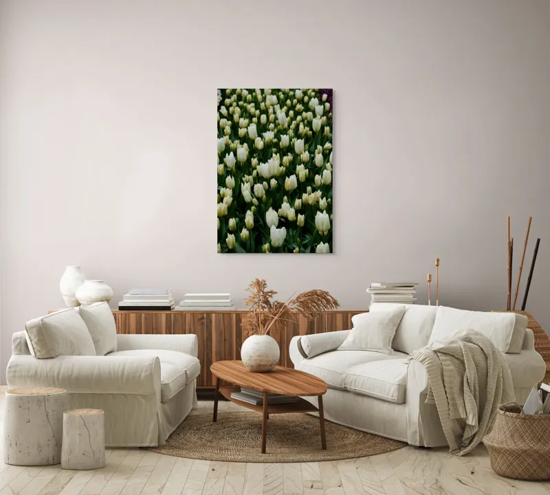 Tablou Canvas, "Câmp de lalele albe înflorite", Flori, Lalele, Albe, Mulțime, Verdeață, Primăvară, Grădină, Prospețime, Eleganță, Naturalețe, 70 x 100 cm – poza 4