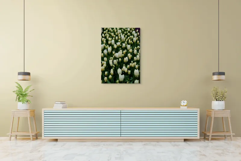 Tablou Canvas, "Câmp de lalele albe înflorite", Flori, Lalele, Albe, Mulțime, Verdeață, Primăvară, Grădină, Prospețime, Eleganță, Naturalețe, 70 x 100 cm – poza 5