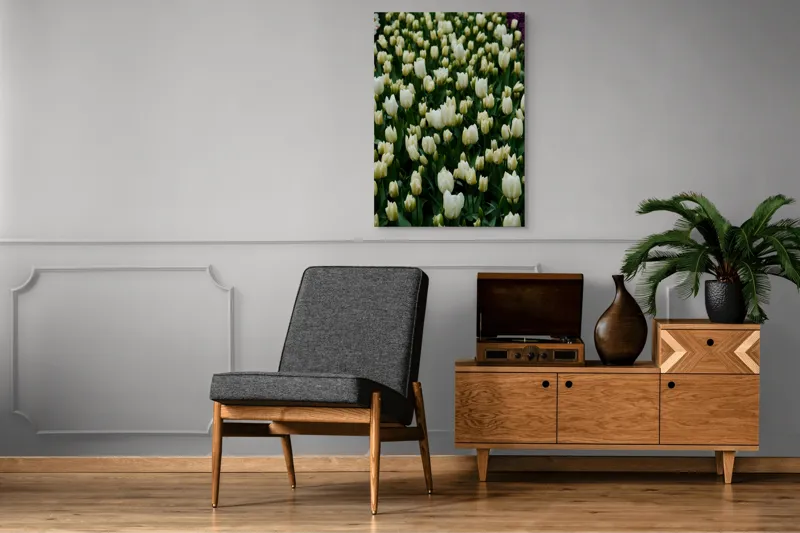 Tablou Canvas, "Câmp de lalele albe înflorite", Flori, Lalele, Albe, Mulțime, Verdeață, Primăvară, Grădină, Prospețime, Eleganță, Naturalețe, 70 x 100 cm – poza 6