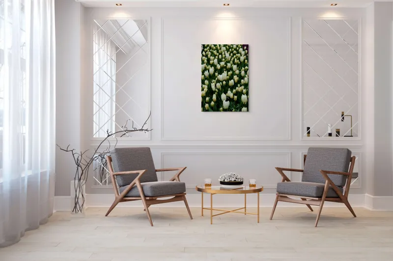 Tablou Canvas, "Câmp de lalele albe înflorite", Flori, Lalele, Albe, Mulțime, Verdeață, Primăvară, Grădină, Prospețime, Eleganță, Naturalețe, 70 x 100 cm – poza 8