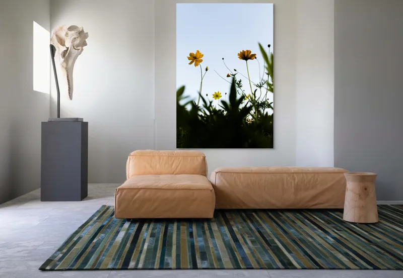 Tablou Canvas, "Flori spre cerul albastru", Flori, Cer, Galben, Verde, Frunze, Muguri, Tulpini, Petale, Natură, Simplitate, 100 x 150 cm – poza 7