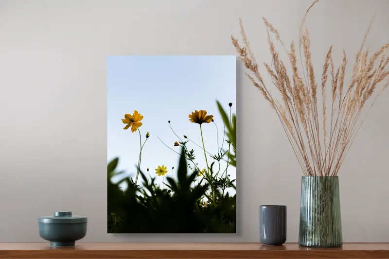 Tablou Canvas, "Flori spre cerul albastru", Flori, Cer, Galben, Verde, Frunze, Muguri, Tulpini, Petale, Natură, Simplitate, 39 x 54 cm – poza 3