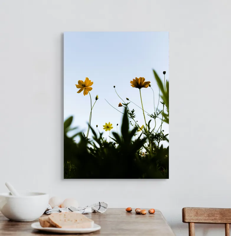 Tablou Canvas, "Flori spre cerul albastru", Flori, Cer, Galben, Verde, Frunze, Muguri, Tulpini, Petale, Natură, Simplitate, 50 x 70 cm – poza 3