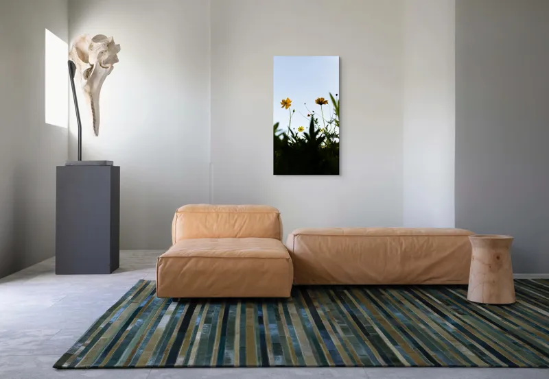 Tablou Canvas, "Flori spre cerul albastru", Flori, Cer, Galben, Verde, Frunze, Muguri, Tulpini, Petale, Natură, Simplitate, 50 x 90 cm – poza 5